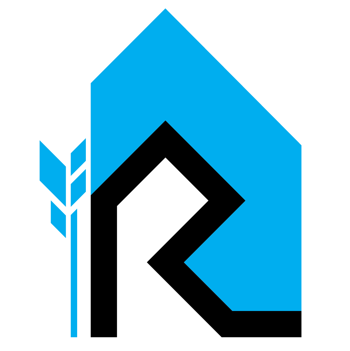 RiRo Logo